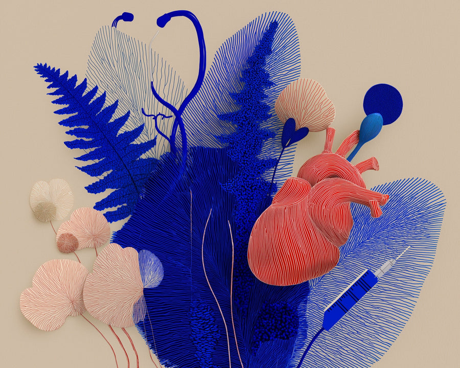 What sex actually does to your body — the science, briefly