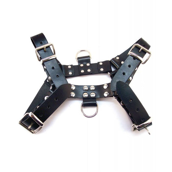 Rouge Over the Head Large Harness - Black