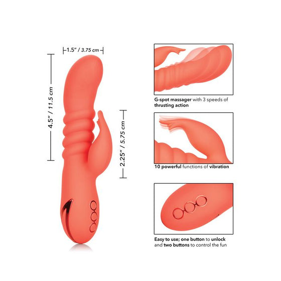 California Dreaming Orange County Cutie - Orange