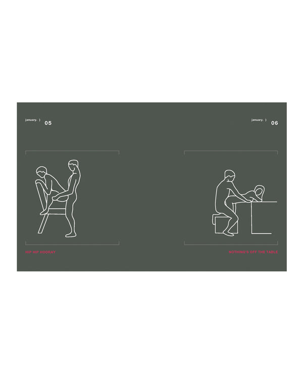 Position of the Day Sex Every Day in Every Way Book Revised and Updated