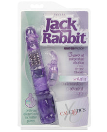  Jack Rabbit Petite - Purple