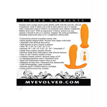  Evolved Creamsicle - Orange