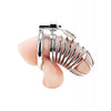 Blue Line Deluxe Chastity Cage - Silver