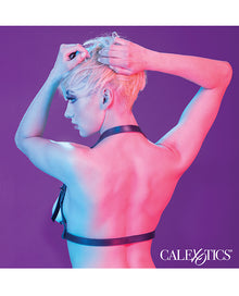  Euphoria Collection Halter Buckle Harness