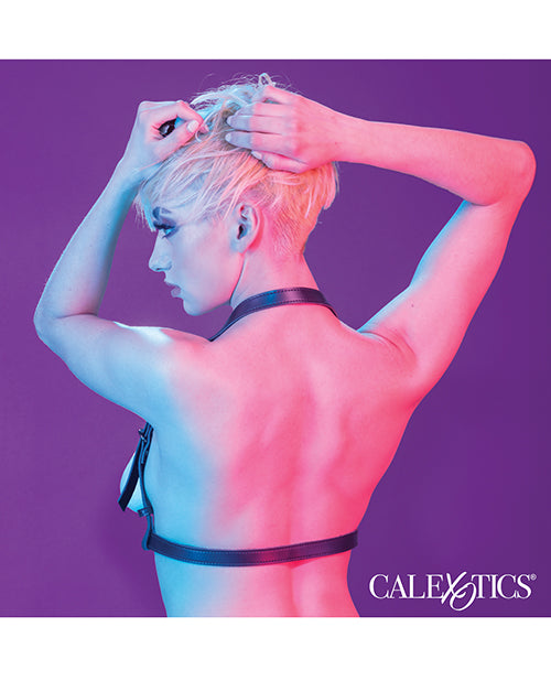 Euphoria Collection Halter Buckle Harness