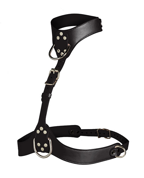 Vixen Female Chest Harness - Black