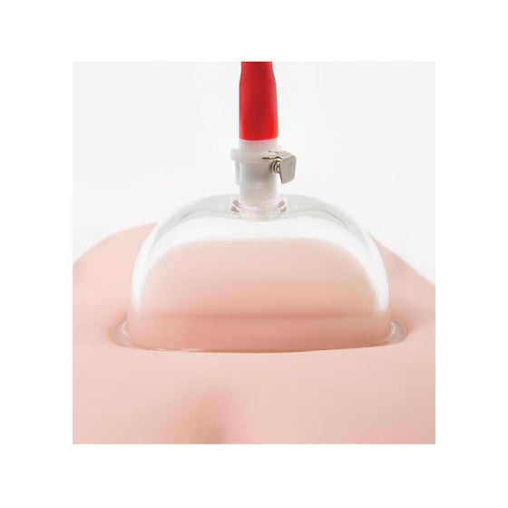 Blush Temptasia Intense Pussy Pump System