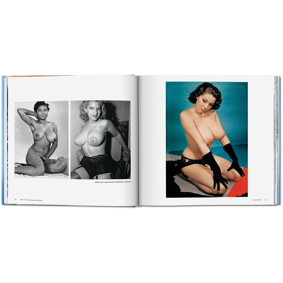 Little Big Book of Breasts