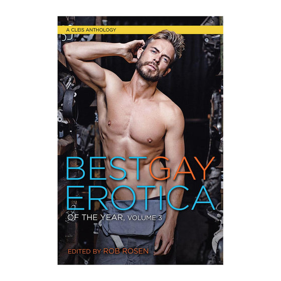 Best Gay Erotica of the Year Vol 3
