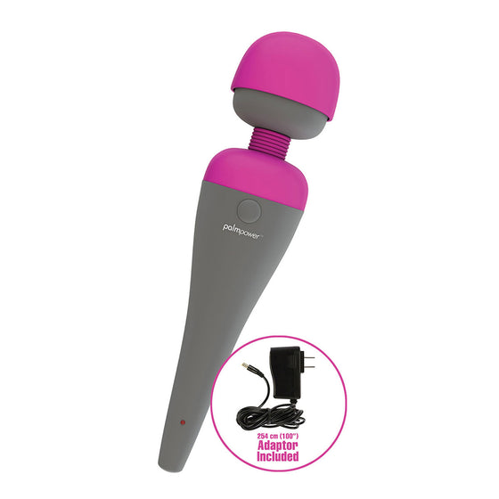 PalmPower Massager