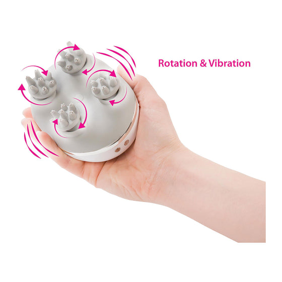 Swan Personal Massage System