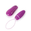 B Swish Bnaughty Deluxe Unleashed - Raspberry
