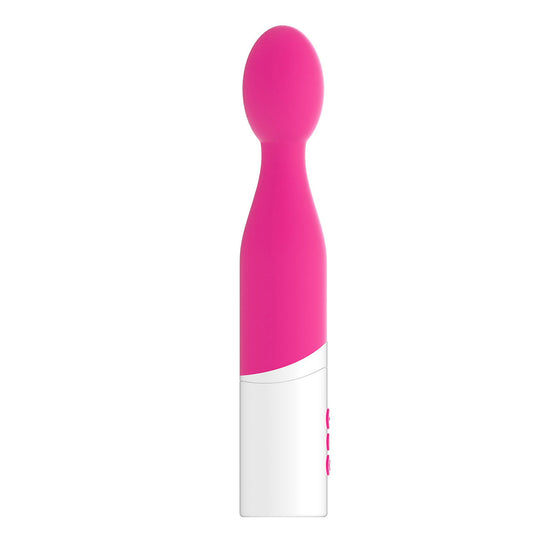 Toyfriend Rosy Vibe