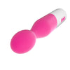 Toyfriend Rosy Vibe