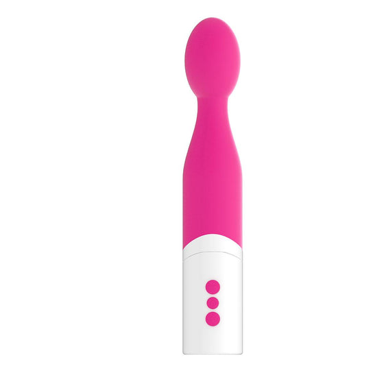 Toyfriend Rosy Vibe
