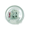 Crystal Delights Kitty Plug - Clear