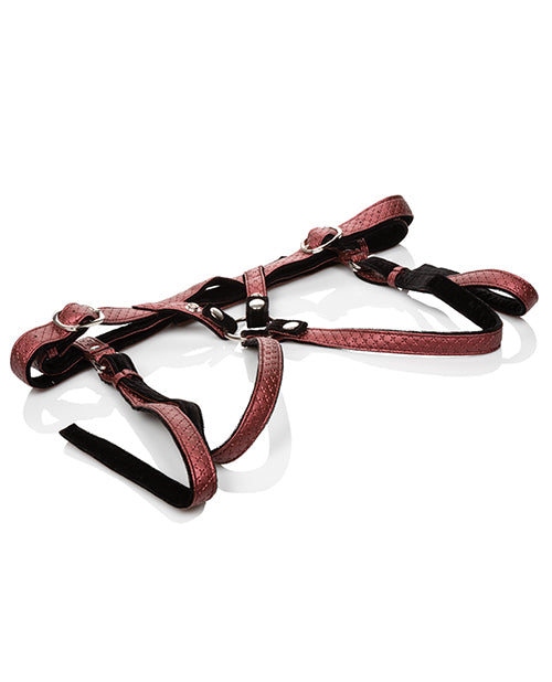 Her Royal Harness The Regal Duchess - Red